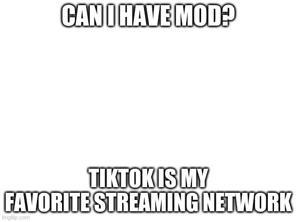 pls | CAN I HAVE MOD? TIKTOK IS MY FAVORITE STREAMING NETWORK | image tagged in blank white template | made w/ Imgflip meme maker