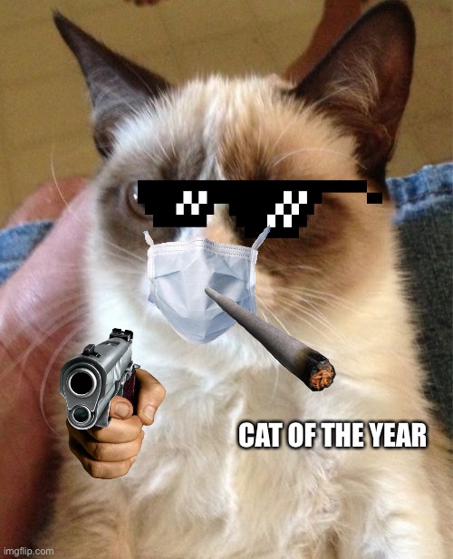 Grumpy Cat Meme | CAT OF THE YEAR | image tagged in memes,grumpy cat | made w/ Imgflip meme maker