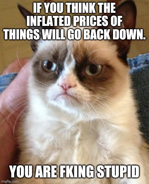 Grumpy Cat Meme | IF YOU THINK THE INFLATED PRICES OF THINGS WILL GO BACK DOWN. YOU ARE FKING STUPID | image tagged in memes,grumpy cat | made w/ Imgflip meme maker