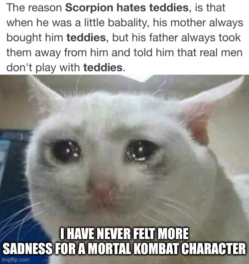 I almost cried when I read this, no joke | I HAVE NEVER FELT MORE SADNESS FOR A MORTAL KOMBAT CHARACTER | image tagged in crying cat,mortal kombat,scorpion,sad | made w/ Imgflip meme maker