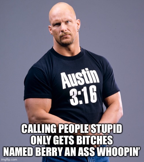 Stone Cold Steve Austin | CALLING PEOPLE STUPID ONLY GETS BITCHES NAMED BERRY AN ASS WHOOPIN’ | image tagged in stone cold steve austin | made w/ Imgflip meme maker