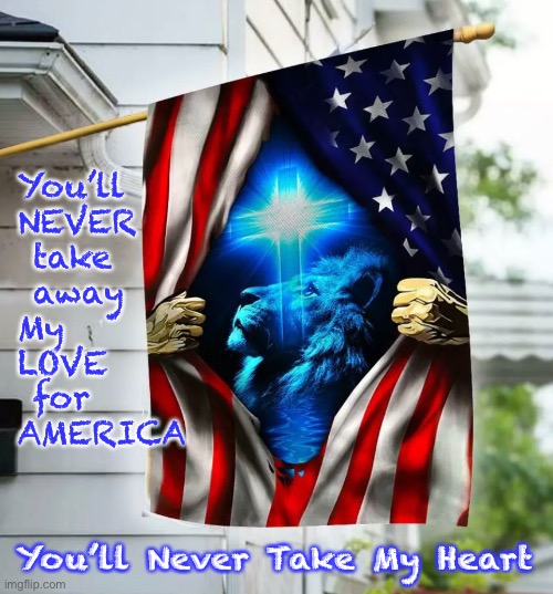 God Bless America | You’ll 
NEVER 
 take 
 away 
My 
LOVE
 for
AMERICA; You’ll Never Take My Heart | image tagged in flag,patriotism,heart,god,jesus loves you,cross | made w/ Imgflip meme maker