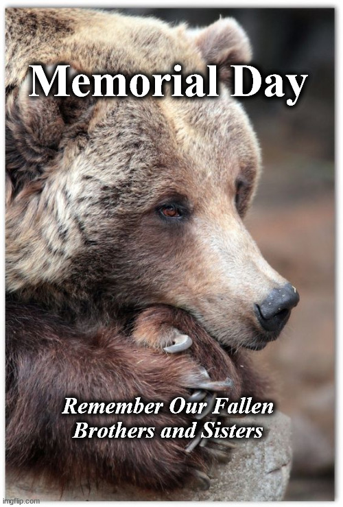 fallen | Memorial Day; Remember Our Fallen Brothers and Sisters | image tagged in fallen | made w/ Imgflip meme maker