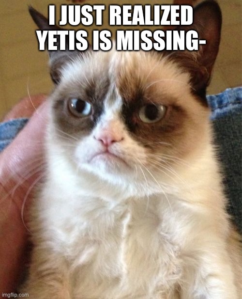 WHAT HAPPENED TO YETI | I JUST REALIZED YETIS IS MISSING- | image tagged in memes,grumpy cat | made w/ Imgflip meme maker