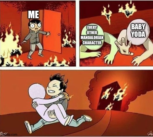 Baby Yoda = Life | ME; EVERY OTHER MANDALORIAN CHARACTER; BABY YODA | image tagged in you can only save one from fire | made w/ Imgflip meme maker