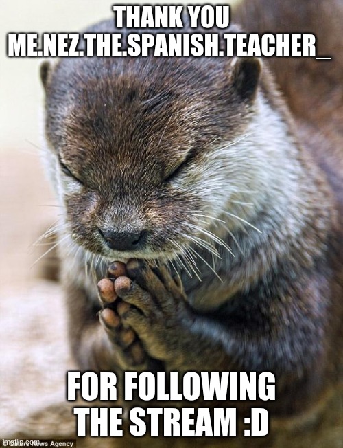 Thank you Lord Otter | THANK YOU ME.NEZ.THE.SPANISH.TEACHER_; FOR FOLLOWING THE STREAM :D | image tagged in thank you lord otter | made w/ Imgflip meme maker