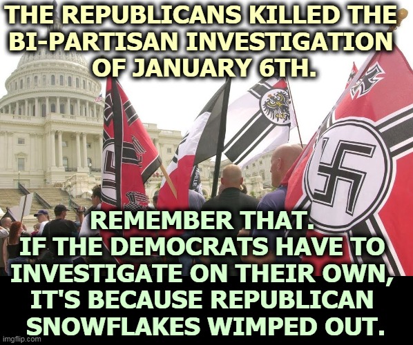 It could have been bi-partisan, but the Republicans refused. | THE REPUBLICANS KILLED THE 
BI-PARTISAN INVESTIGATION 
OF JANUARY 6TH. REMEMBER THAT. 
IF THE DEMOCRATS HAVE TO 
INVESTIGATE ON THEIR OWN, 
IT'S BECAUSE REPUBLICAN 
SNOWFLAKES WIMPED OUT. | image tagged in nazis neo-nazi flags parade capitol washington dc,riot,capitol hill,coup,right wing | made w/ Imgflip meme maker