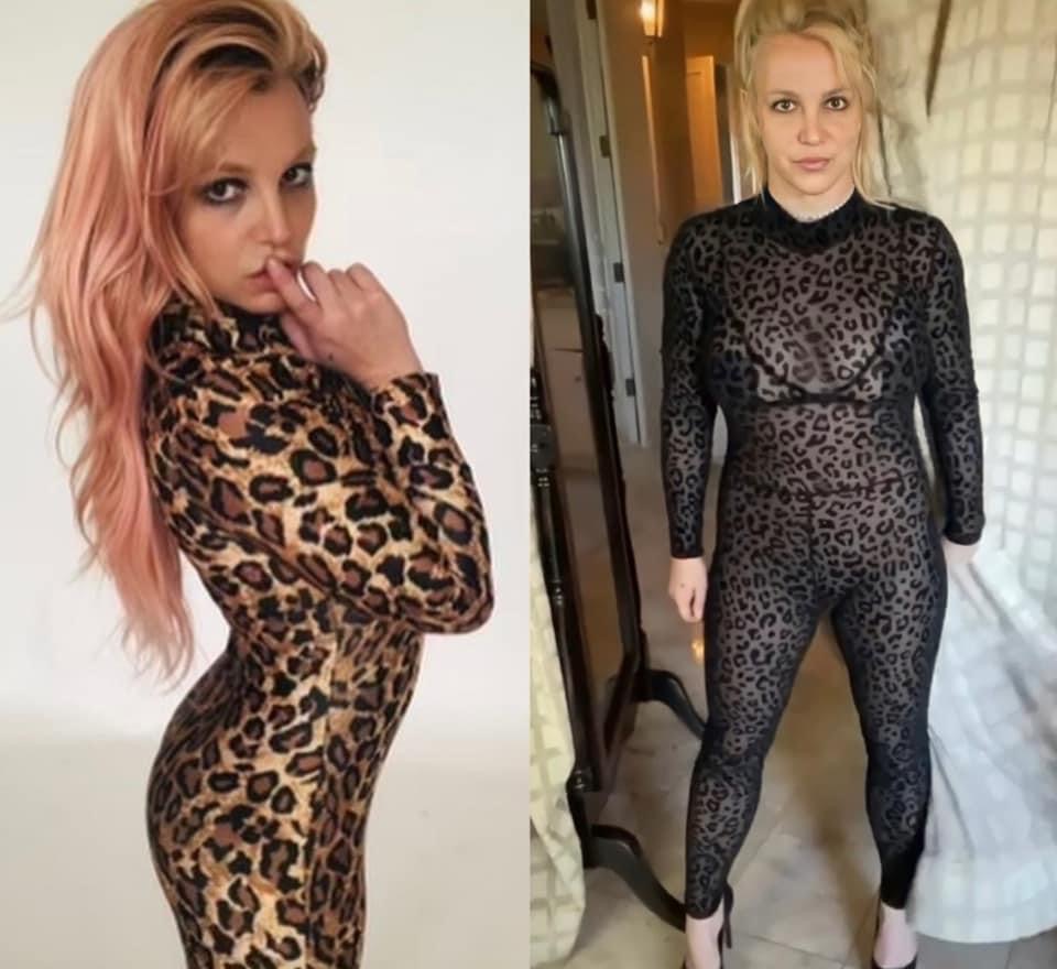 Britney Spears leopard print Blank Meme Template