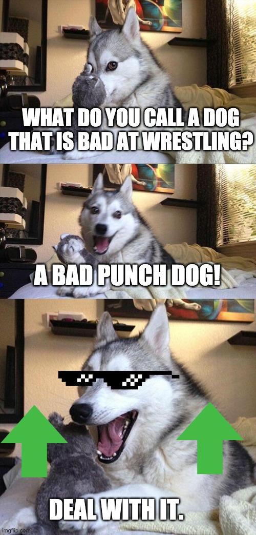 Bad Pun Dog Meme | WHAT DO YOU CALL A DOG THAT IS BAD AT WRESTLING? A BAD PUNCH DOG! DEAL WITH IT. | image tagged in memes,bad pun dog,yeet,yeeee,yee,oh wow are you actually reading these tags | made w/ Imgflip meme maker