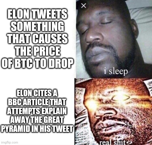 Tweets | ELON TWEETS SOMETHING THAT CAUSES THE PRICE OF BTC TO DROP; ELON CITES A BBC ARTICLE THAT ATTEMPTS EXPLAIN AWAY THE GREAT PYRAMID IN HIS TWEET | image tagged in i sleep real shit | made w/ Imgflip meme maker