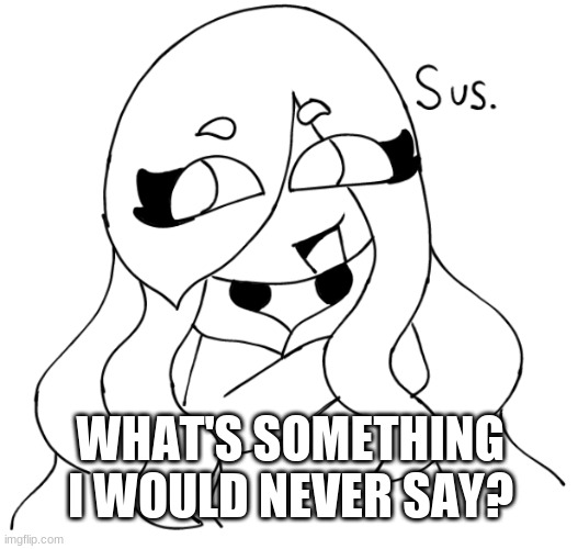 Jaiden Sus | WHAT'S SOMETHING I WOULD NEVER SAY? | image tagged in jaiden sus | made w/ Imgflip meme maker