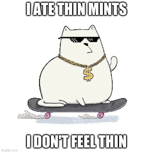 Sup My Man | I ATE THIN MINTS; I DON'T FEEL THIN | image tagged in sup my man | made w/ Imgflip meme maker