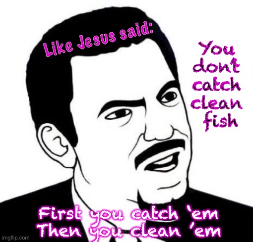 Seriously Face |  Like Jesus said:; You 
don’t 
catch 
clean 
fish; First you catch ‘em
Then you clean ’em | image tagged in memes,seriously face | made w/ Imgflip meme maker
