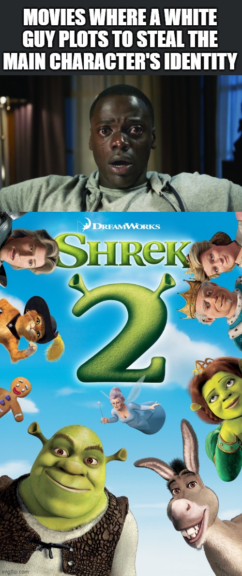 same movie | MOVIES WHERE A WHITE GUY PLOTS TO STEAL THE MAIN CHARACTER'S IDENTITY | image tagged in get out meme | made w/ Imgflip meme maker