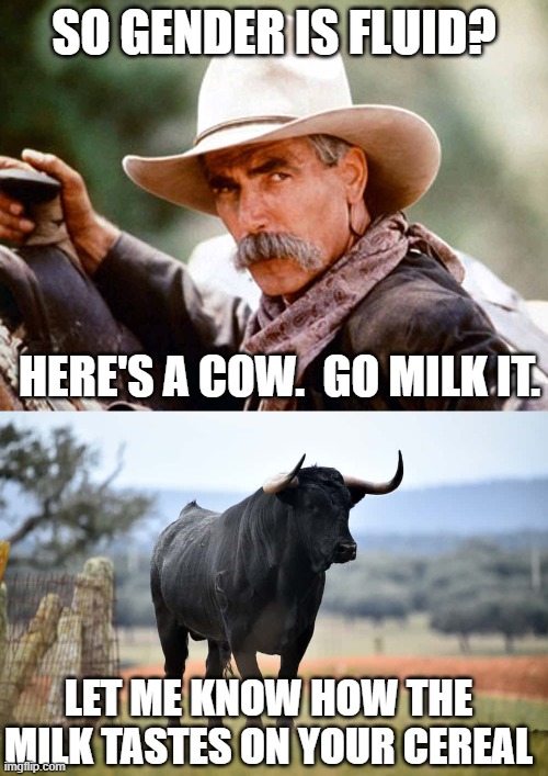 Some things just aren't debatable |  SO GENDER IS FLUID? HERE'S A COW.  GO MILK IT. LET ME KNOW HOW THE MILK TASTES ON YOUR CEREAL | image tagged in sam elliott cowboy,special kind of stupid | made w/ Imgflip meme maker