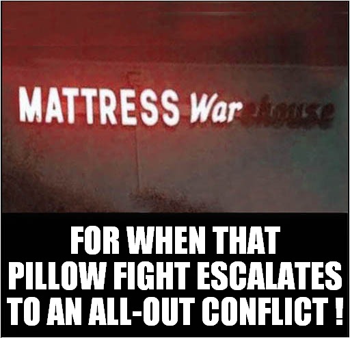 Bedroom Arms Race ?
(Please see a truly brilliant reply in comments !) | FOR WHEN THAT PILLOW FIGHT ESCALATES TO AN ALL-OUT CONFLICT ! | image tagged in pillow,fight,mattress,war | made w/ Imgflip meme maker