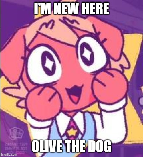 (Mod note: d o g) |  I'M NEW HERE; OLIVE THE DOG | image tagged in excited olive | made w/ Imgflip meme maker