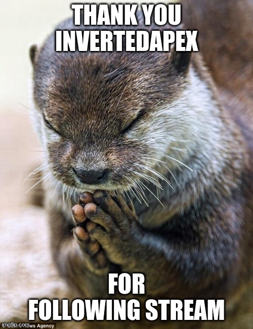 Thank you Lord Otter | THANK YOU INVERTEDAPEX; FOR FOLLOWING STREAM | image tagged in thank you lord otter | made w/ Imgflip meme maker