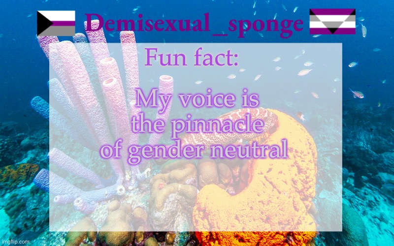 E | My voice is the pinnacle of gender neutral; Fun fact: | image tagged in demisexual_sponge | made w/ Imgflip meme maker