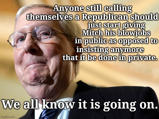 He just laughs at all of you. | Anyone still calling themselves a Republican should; just start giving Mitch his blowjobs in public as opposed to; insisting anymore that it be done in private. We all know it is going on. | image tagged in mitch mcconnell | made w/ Imgflip meme maker