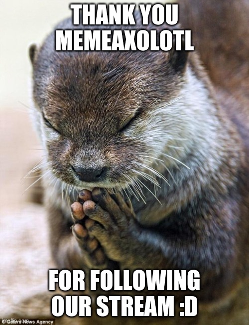 Thank you Lord Otter | THANK YOU MEMEAXOLOTL; FOR FOLLOWING OUR STREAM :D | image tagged in thank you lord otter | made w/ Imgflip meme maker
