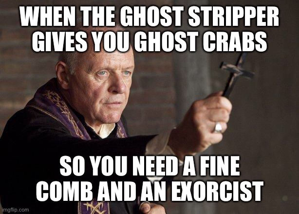 The power of crab shampoo compels you! the power of crab shampoo compels you! | WHEN THE GHOST STRIPPER GIVES YOU GHOST CRABS; SO YOU NEED A FINE COMB AND AN EXORCIST | image tagged in priest,unholy lice | made w/ Imgflip meme maker