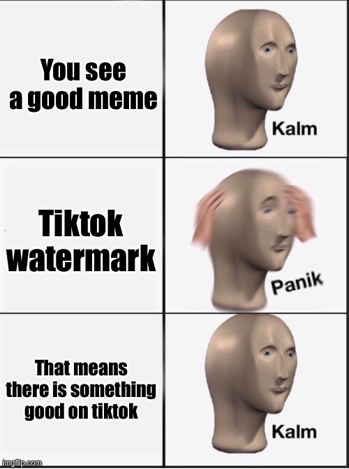 Reverse kalm panik | You see a good meme; Tiktok watermark; That means there is something good on tiktok | image tagged in reverse kalm panik | made w/ Imgflip meme maker