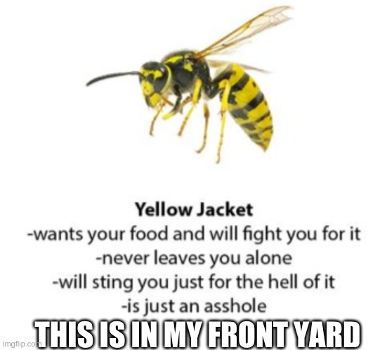 THIS IS IN MY FRONT YARD | made w/ Imgflip meme maker