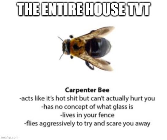 THE ENTIRE HOUSE TVT | made w/ Imgflip meme maker