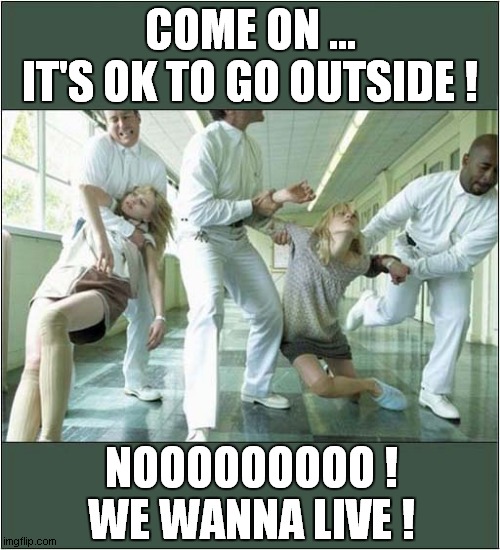 Let's Go Outside ? | COME ON ...
IT'S OK TO GO OUTSIDE ! NOOOOOOOOO !
WE WANNA LIVE ! | image tagged in isolation,outside | made w/ Imgflip meme maker