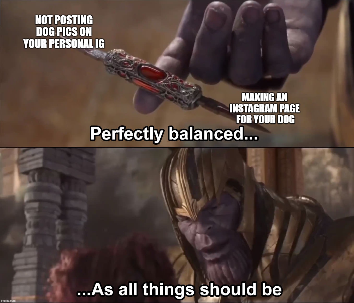 New dog owners be like | NOT POSTING
DOG PICS ON
YOUR PERSONAL IG; MAKING AN 
INSTAGRAM PAGE 
FOR YOUR DOG | image tagged in thanos perfectly balanced as all things should be | made w/ Imgflip meme maker