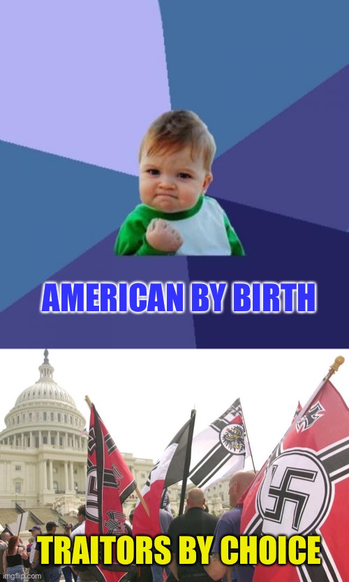 support the violent overthrow of our government because you lost an election? You are a traitor. No ifs or buts about it. | AMERICAN BY BIRTH; TRAITORS BY CHOICE | image tagged in memes,success kid,nazis neo-nazi flags parade capitol washington dc | made w/ Imgflip meme maker