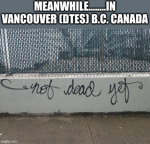 Meanwhile... | MEANWHILE........IN VANCOUVER (DTES) B.C. CANADA | image tagged in meanwhile in canada,meanwhile,graffiti,vancouver | made w/ Imgflip meme maker