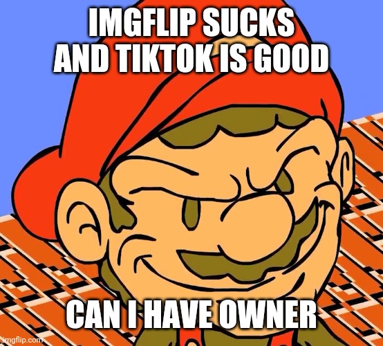 E | IMGFLIP SUCKS AND TIKTOK IS GOOD; CAN I HAVE OWNER | made w/ Imgflip meme maker