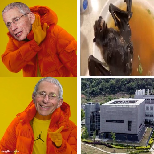 Fauci knows the origin. | image tagged in memes | made w/ Imgflip meme maker