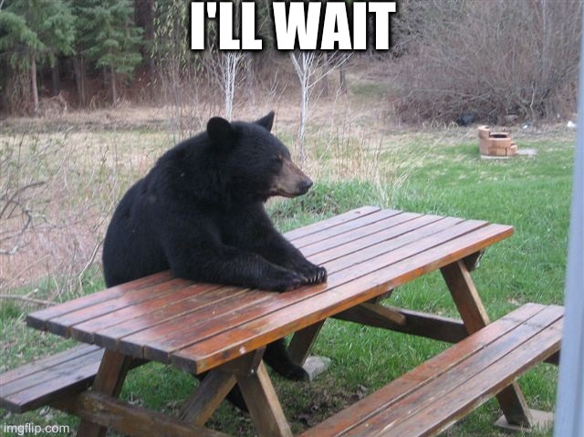 for how long? | I'LL WAIT | image tagged in bear picnic table | made w/ Imgflip meme maker