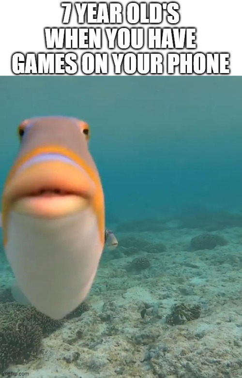 staring fish | 7 YEAR OLD'S WHEN YOU HAVE GAMES ON YOUR PHONE | image tagged in staring fish | made w/ Imgflip meme maker