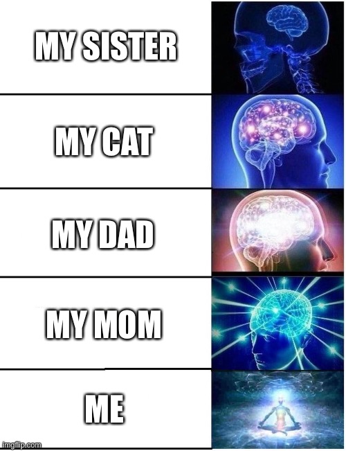 She takes off important stuff like glasses and watches because “it’s uncomfortable” she can’t sit properly and she think movies  | MY SISTER; MY CAT; MY DAD; MY MOM; ME | image tagged in expanding brain 5 panel | made w/ Imgflip meme maker