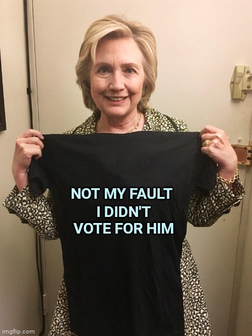 Hillary's going into the T-Shirt business | I DIDN'T
VOTE FOR HIM; NOT MY FAULT | image tagged in hillary shirt,slime,shut up and take my money fry,underwear,donald trump is proud | made w/ Imgflip meme maker