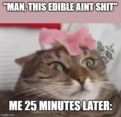 flower cat |  "MAN, THIS EDIBLE AINT SHIT"; ME 25 MINUTES LATER: | image tagged in flower cat | made w/ Imgflip meme maker