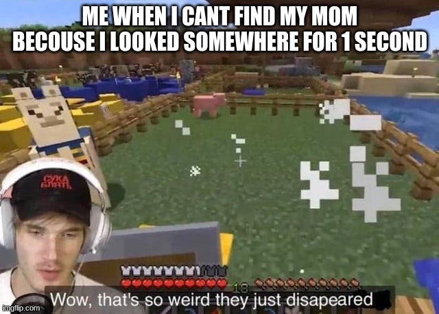 The shop | ME WHEN I CANT FIND MY MOM BECAUSE I LOOKED SOMEWHERE FOR 1 SECOND | image tagged in wow that's so weird they just disappeared | made w/ Imgflip meme maker