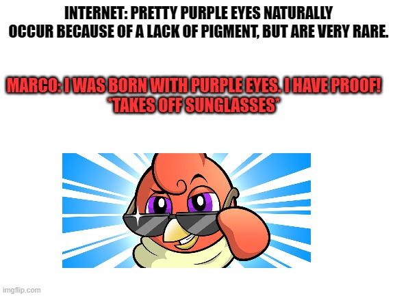 INTERNET: PRETTY PURPLE EYES NATURALLY OCCUR BECAUSE OF A LACK OF PIGMENT, BUT ARE VERY RARE. MARCO: I WAS BORN WITH PURPLE EYES. I HAVE PROOF!
*TAKES OFF SUNGLASSES* | image tagged in ducklife | made w/ Imgflip meme maker