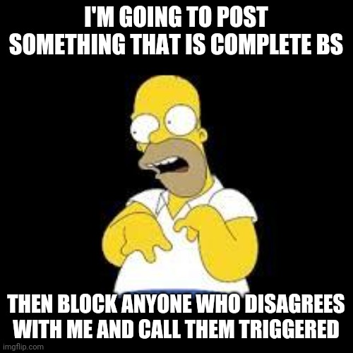 Look Marge | I'M GOING TO POST SOMETHING THAT IS COMPLETE BS; THEN BLOCK ANYONE WHO DISAGREES WITH ME AND CALL THEM TRIGGERED | image tagged in look marge | made w/ Imgflip meme maker
