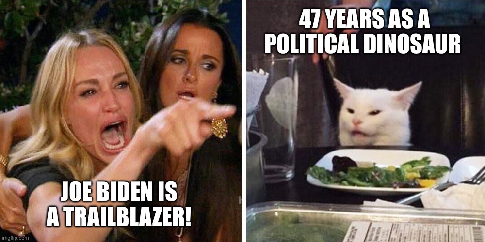 Biden is a Trailblazer! | 47 YEARS AS A POLITICAL DINOSAUR; JOE BIDEN IS A TRAILBLAZER! | image tagged in smudge the cat,biden,lifetime politician | made w/ Imgflip meme maker