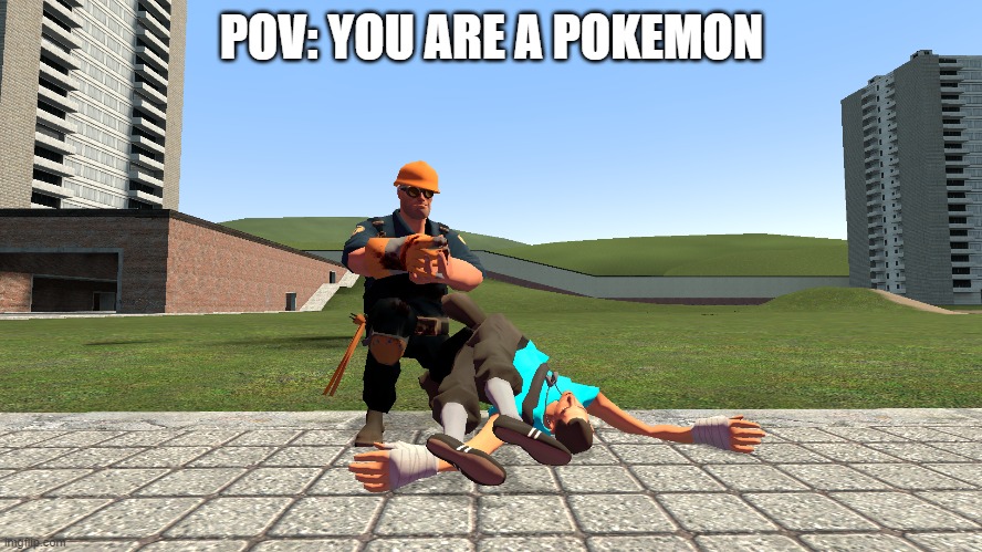 oh im gonna capture you | POV: YOU ARE A POKEMON | image tagged in your mom | made w/ Imgflip meme maker
