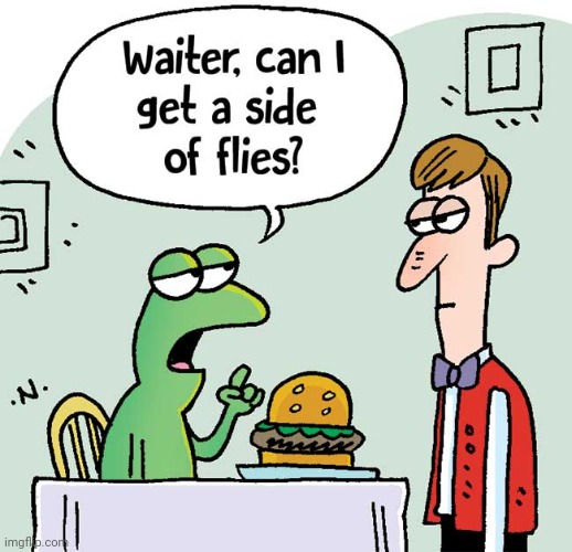 A side of flies to go with that burger | image tagged in comics/cartoons,comics,comic,flies,fly,waiter | made w/ Imgflip meme maker