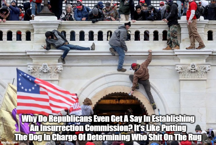 "Why Do Republicans Even Get A Say In Establishing An Insurrection Commission? It's Like..." | Why Do Republicans Even Get A Say In Establishing An Insurrection Commission? It's Like Putting The Dog In Charge Of Determining Who Shit On The Rug | image tagged in insurrection,sedition,treason,trump dumps in public,january 6th commission,january 6th inquiry | made w/ Imgflip meme maker