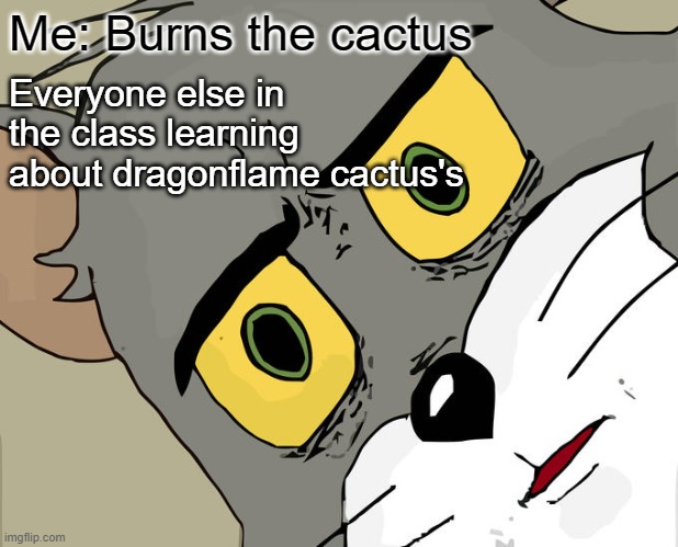 This meme is kinda dead |  Me: Burns the cactus; Everyone else in the class learning about dragonflame cactus's | image tagged in memes,unsettled tom,wings of fire,dragon | made w/ Imgflip meme maker