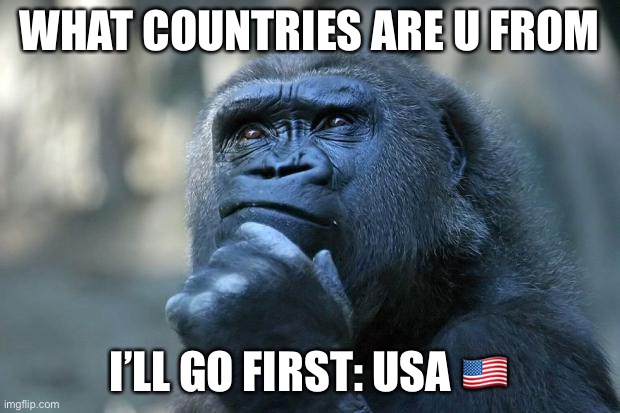 Also put its flag |  WHAT COUNTRIES ARE U FROM; I’LL GO FIRST: USA 🇺🇸 | image tagged in deep thoughts | made w/ Imgflip meme maker