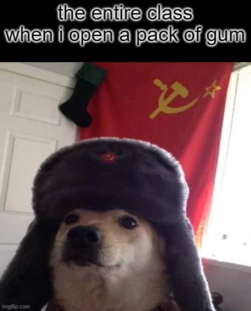 communist doge | the entire class when i open a pack of gum | image tagged in russian doge,doge,russian,communism | made w/ Imgflip meme maker